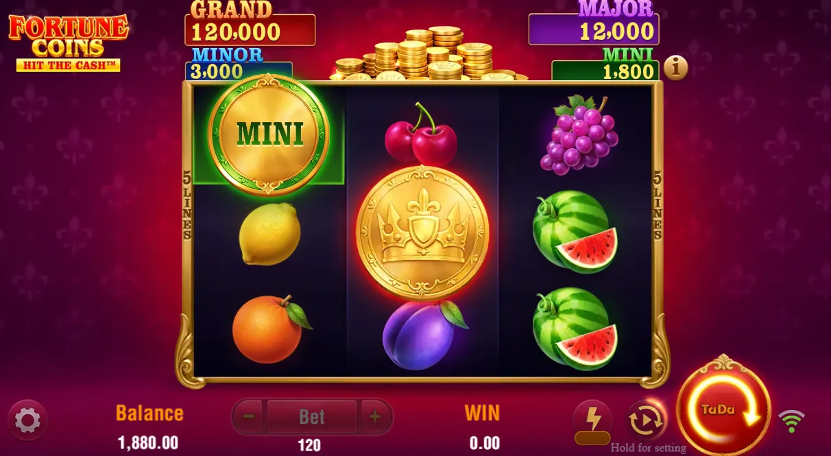 Fortune Coins